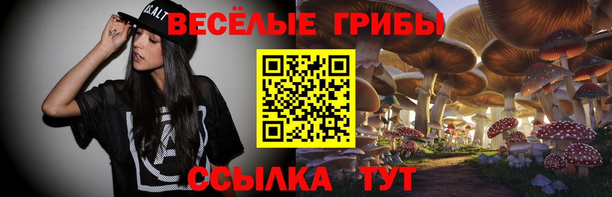 Галлюциногенные грибы GOLDEN TEACHER  Вход с VPN  Алексеевка  Галлюциногенные грибы Cubensis 